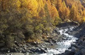 Baita del Plan - Foto 55