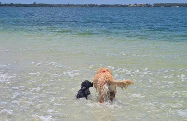 Solaris Beach House - Espaçosa e perto de tudo - Foto 38