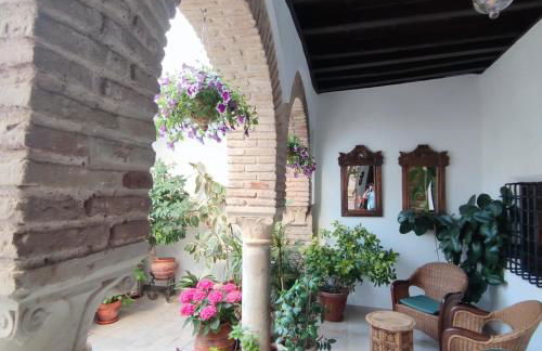 El patio de Regina - Foto 5