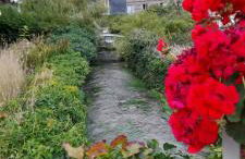 Les roses à la plage - Foto 20