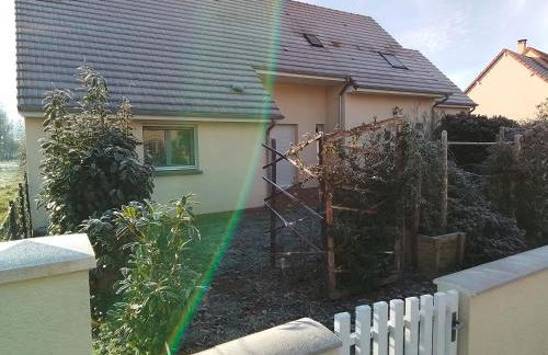 Special 24H du MANS - Photo 1