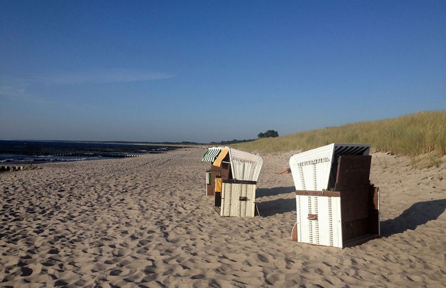 Ferienhaus in Neu Poserin for 5 Personen - Foto 19
