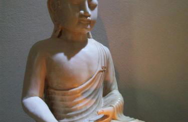 Studio & Gîte Zen de Beauval- 800 m du Zooparc - Photo 36