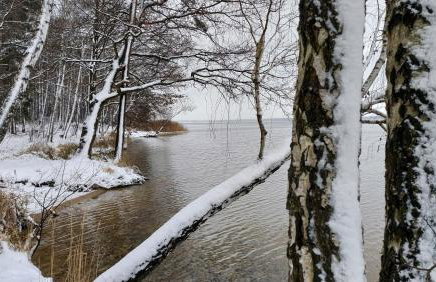 Dom wypoczynkowy Jelonek - Foto 20