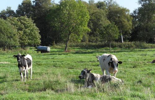 Hof Schult - Foto 24