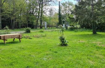 Chez Julie - Photo 7