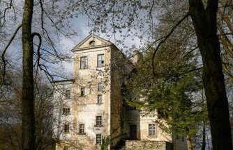 Pałac Rząsiny - Foto 11