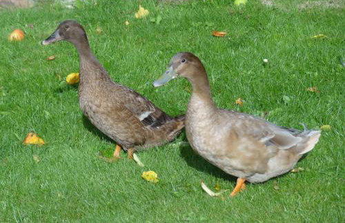 Coach House at The Glen - Foto 19