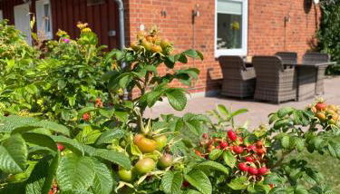 Lillehus Modern Retreat - Foto 5