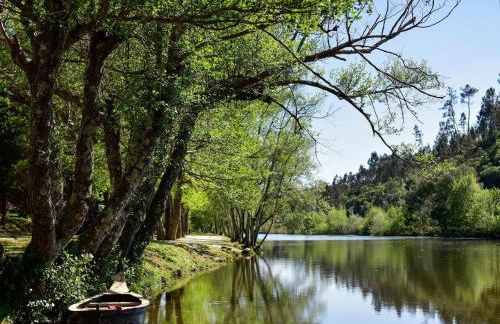 Edu Stay Mondego - Foto 36