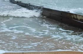 Le colibri - Photo 34