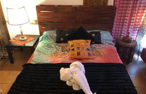 La Casa del Pianista - Foto 49