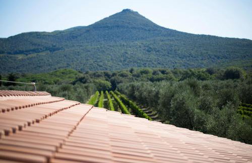 Agriturismo Tra gli Ulivi, Chiappini Winery - Photo 68