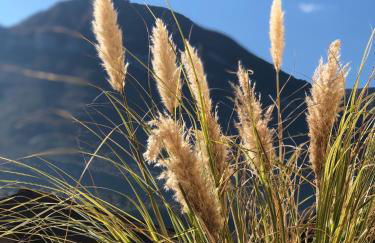 Casa ToBé - Foto 23