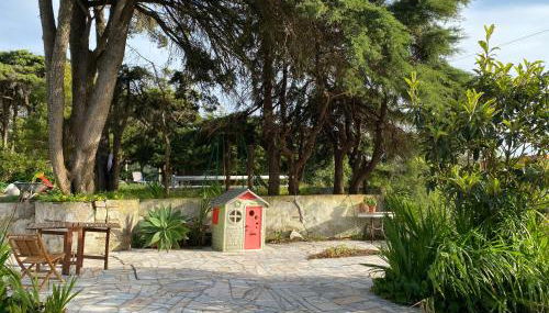 House of green leaves - Foto 4