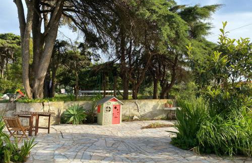 House of green leaves - Foto 4