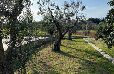 Uliveto Sant' Isidoro - Foto 43