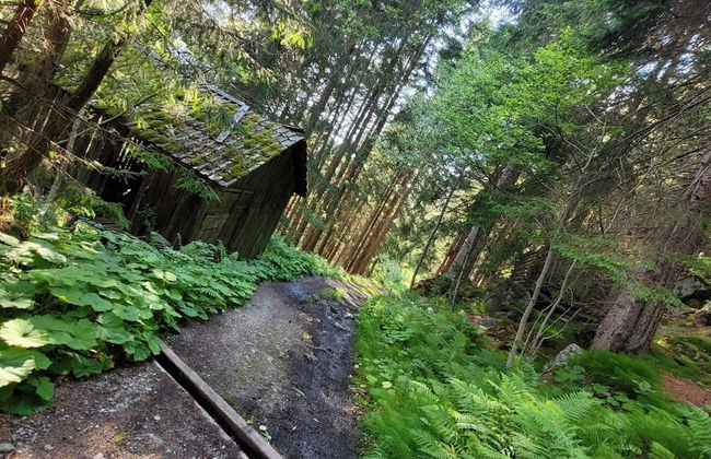 New Apartment in the Beautiful Pitztal - Foto 21