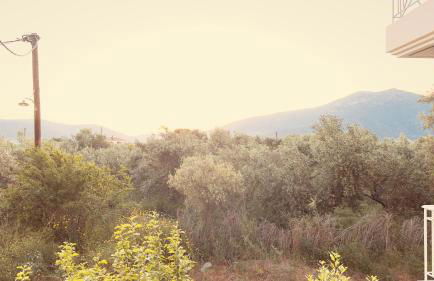 Το Φιλόξενο Σπιτάκι! - The Friendly Nest ! - Foto 39