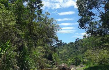 Paraíso na Serra pra Relaxar - Foto 28