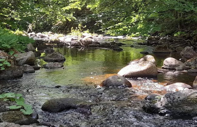 Chalet in Schierke Near Ski Slopes - Foto 34