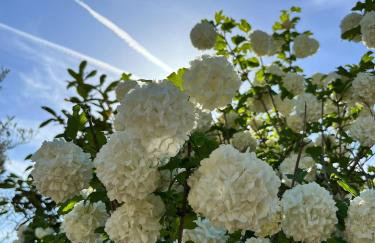 Residence Tomani with XXL pool - Foto 51