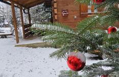 Vodenica Vrelo Chalets - Foto 5