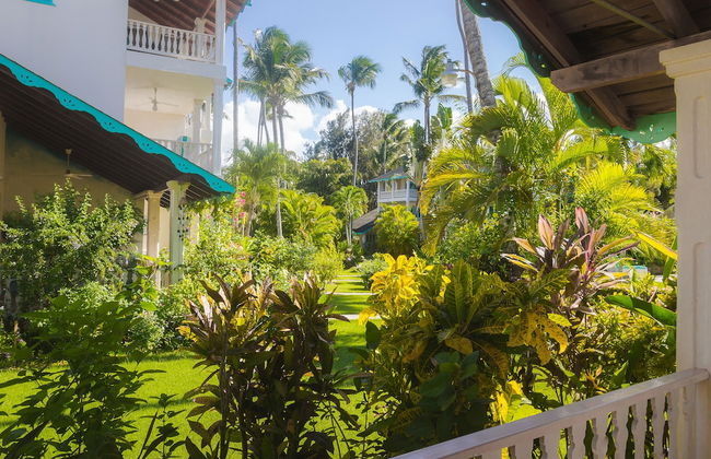 Hotel Residence Playa Colibri - Foto 50