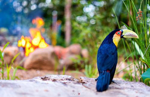 Recanto Ecológico - Foto 63