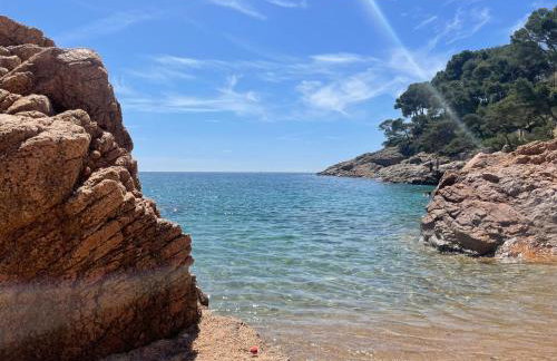 Tamariu Beach 1- Beachfront Home with wifi views - Photo 21