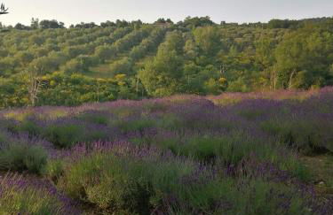 #3MTSOPRAILCIELO '' SCuLPTuRe '' - Foto 66