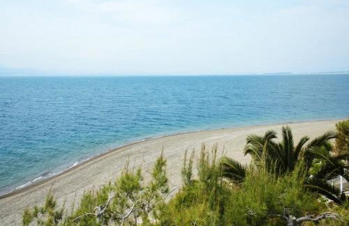 Posidonia Pension - Photo 30