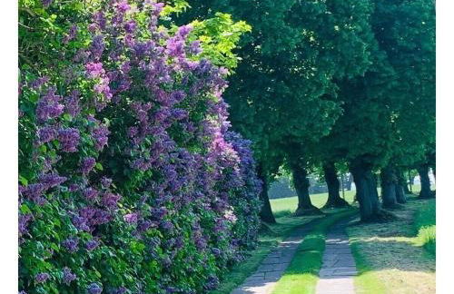 Summer freshness Comfortable holiday residence - Foto 31