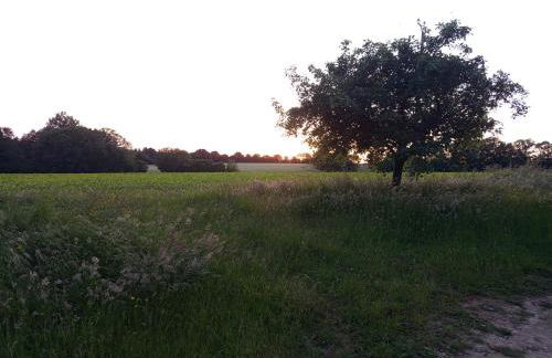 Au petit horizon - Foto 2