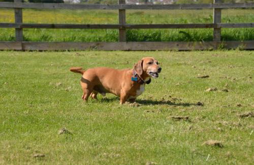 1 Bed in Taunton oc-74144 - Foto 15