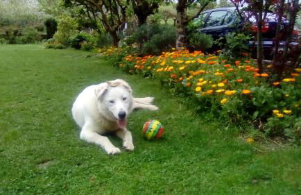 Casa Rural Reparaz - Foto 22