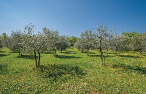 Gorgeous Home In Buje With Kitchen - Foto 12