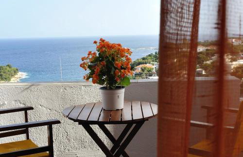 Pension Andromeda - Foto 56