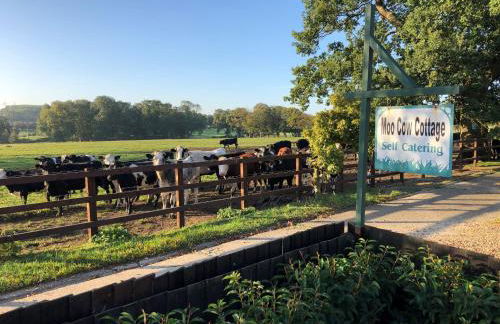 Moo Cow Cottage Self Catering - Photo 11