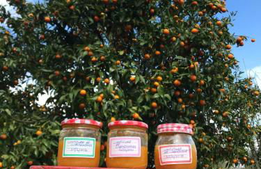 Quinta do Mirante - Foto 70