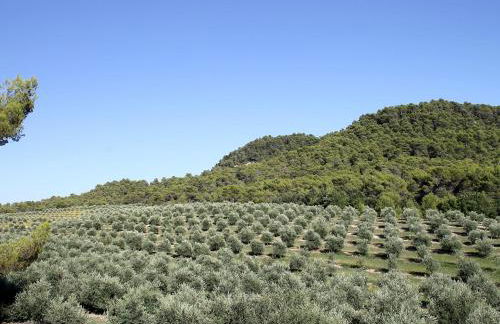 Holiday Home Domaine de Piegros by Interhome - Foto 102