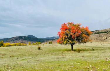 Alojamiento Rural Los Hacheros - Foto 68