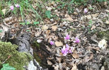 La Dimora di Teresa - Photo 78