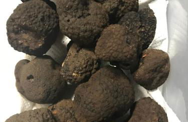 Agriturismo a casa di Susanna - Foto 39