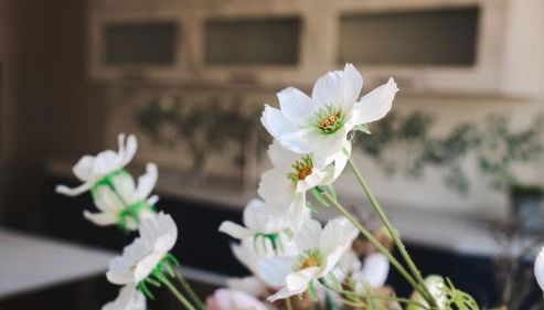 Mandaroza Apartment Freiburg - Foto 5