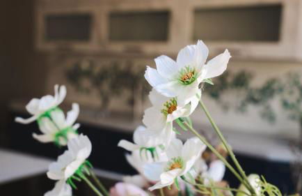 Mandaroza Apartment Freiburg - Foto 5