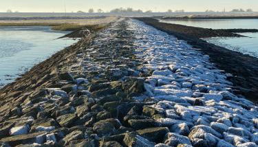 Gut Groß Fedderwarden, Ferienwohnung Emma - Foto 4