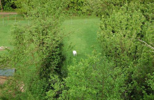 FeWoFreiZeit - Foto 24