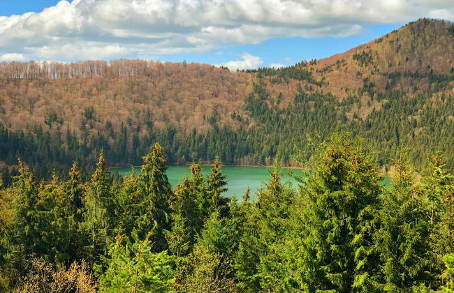 Excursión al lago Santa Ana - Foto 2