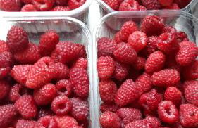 Agriturismo Corte Gaia - Foto 67